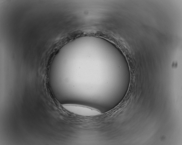 X0000103411445200809120937