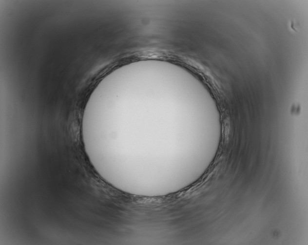 X0000103411446200809120937