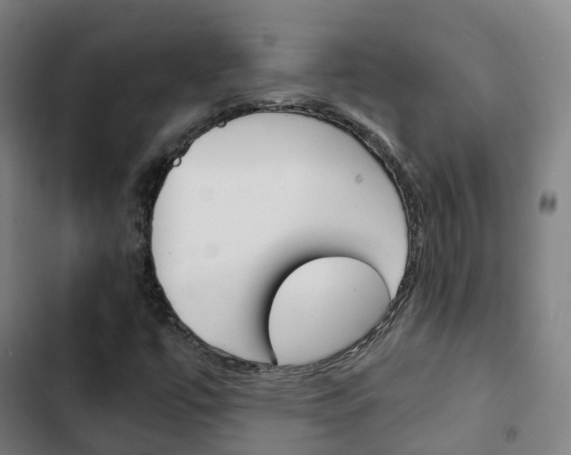 X0000103411447200809120937