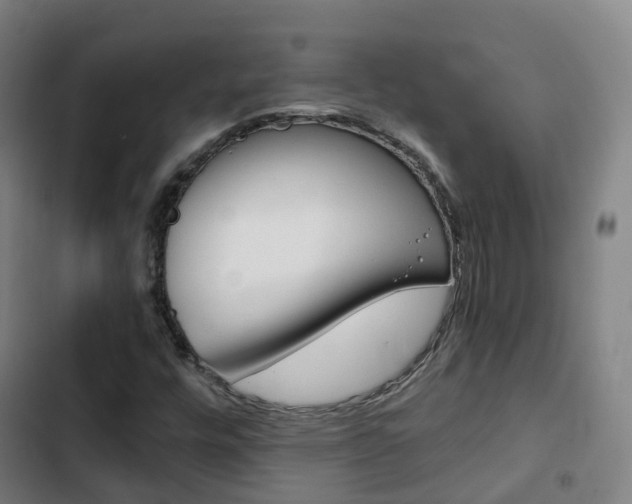 X0000103411448200809120936