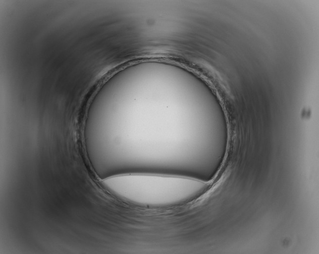 X0000103411449200809120936