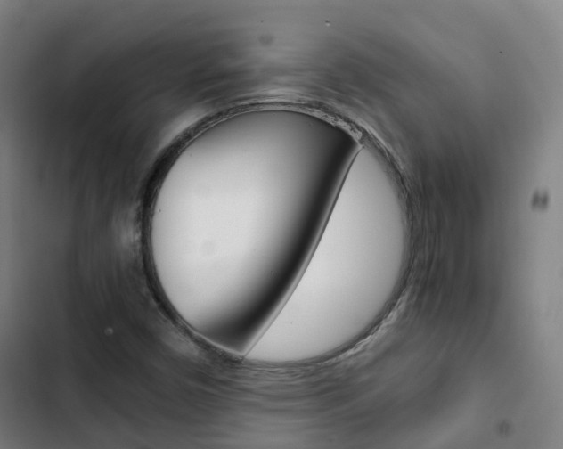 X0000103411450200809120936