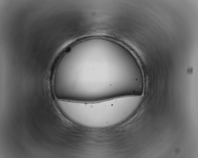 X0000103411452200809120936