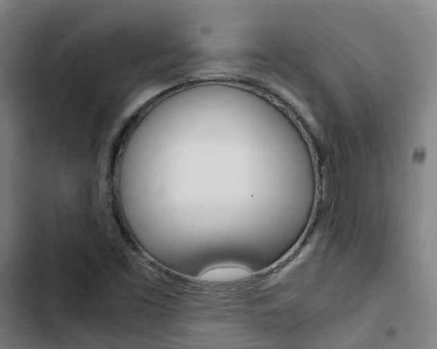X0000103411453200809120936