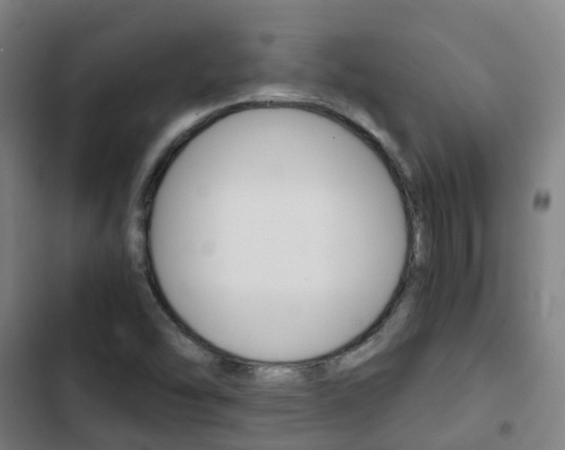 X0000103411454200809120936
