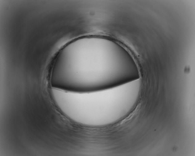 X0000103411455200809120936