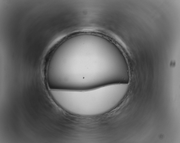 X0000103411456200809120936
