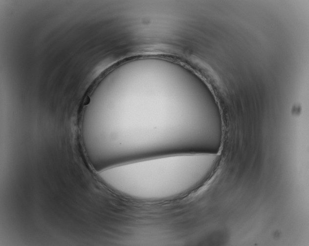 X0000103411457200809120936