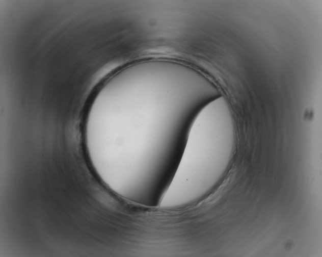 X0000103411458200809120936