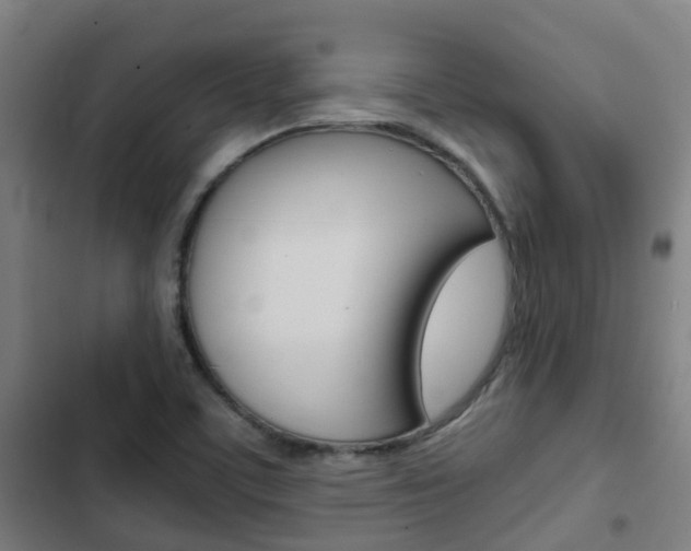 X0000103411459200809120936