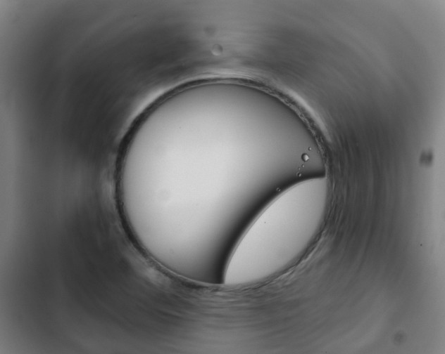 X0000103411460200809120936