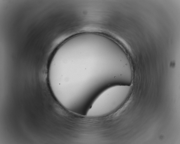 X0000103411461200809120936