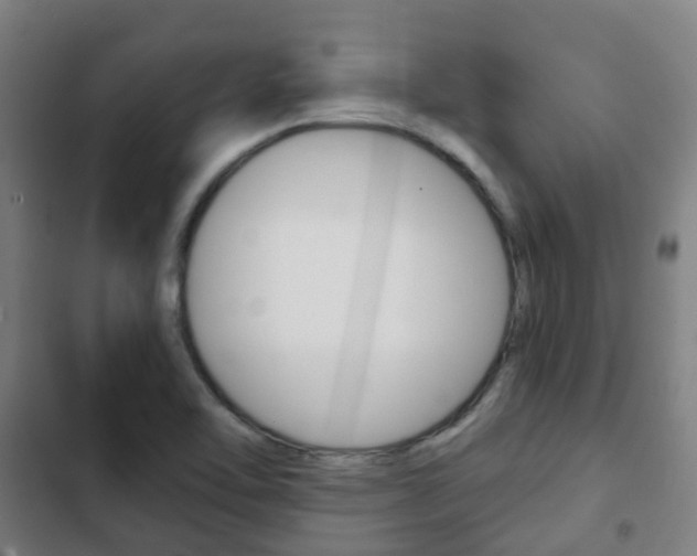 X0000103411462200809120936