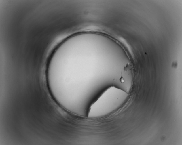 X0000103411464200809120936