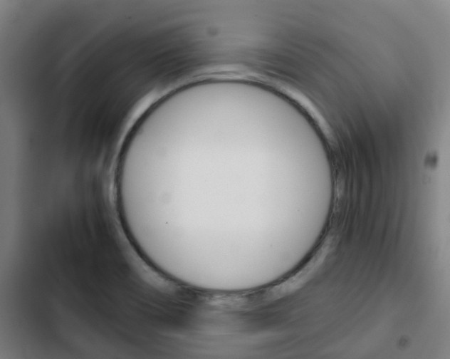 X0000103411466200809120936