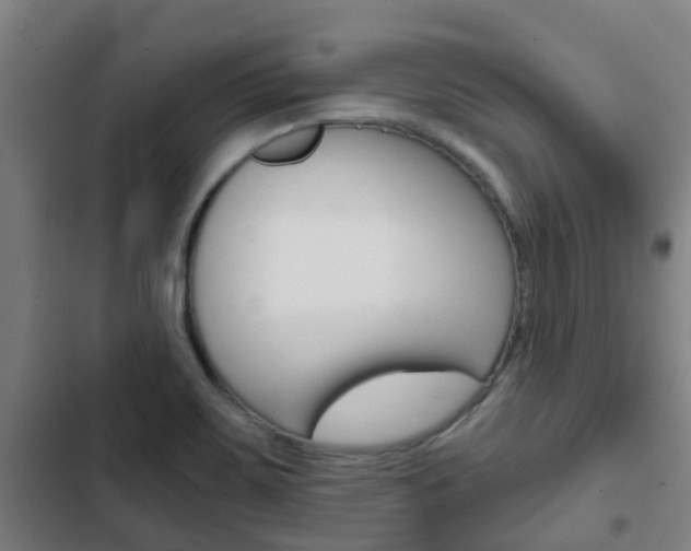 X0000103411467200809120936