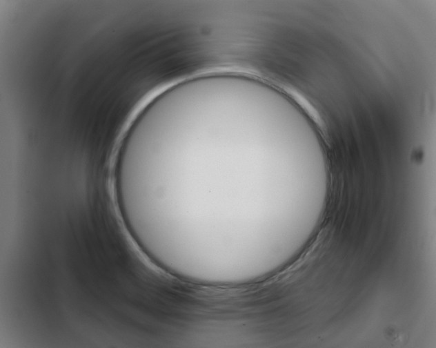 X0000103411468200809120936