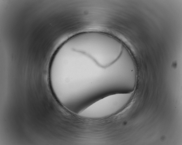 X0000103411469200809120936