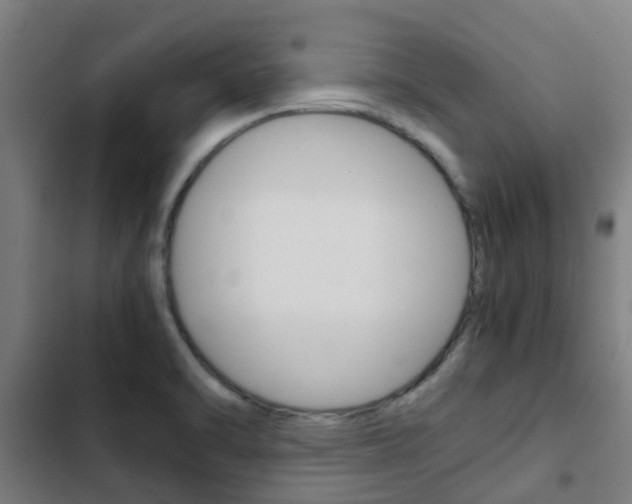 X0000103411470200809120936