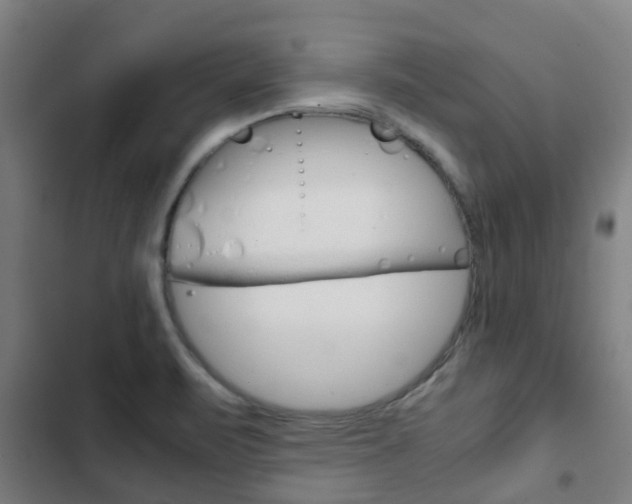 X0000103411471200809120936