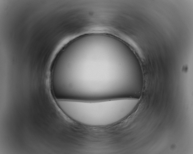 X0000103411472200809120936