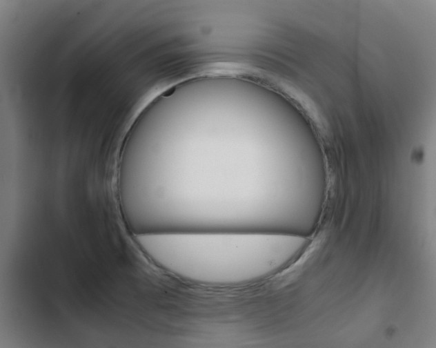 X0000103411473200809120936