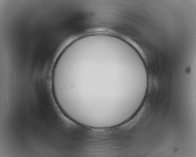 X0000103411474200809120936