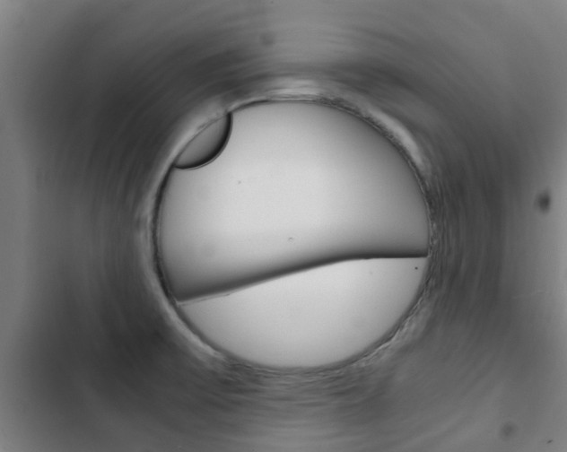 X0000103411475200809120936