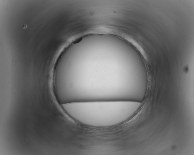 X0000103411477200809120936
