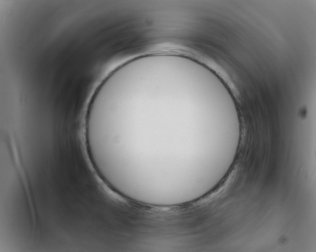 X0000103411478200809120936