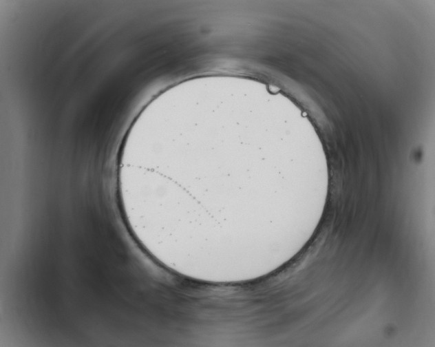 X0000103411479200809120936