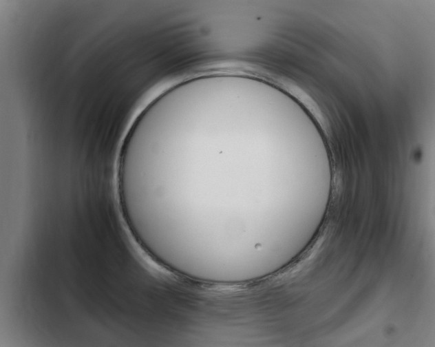 X0000103411482200809120936