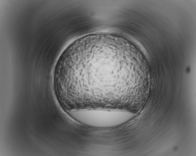 X0000103411483200809120936