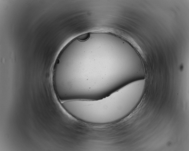 X0000103411484200809120936