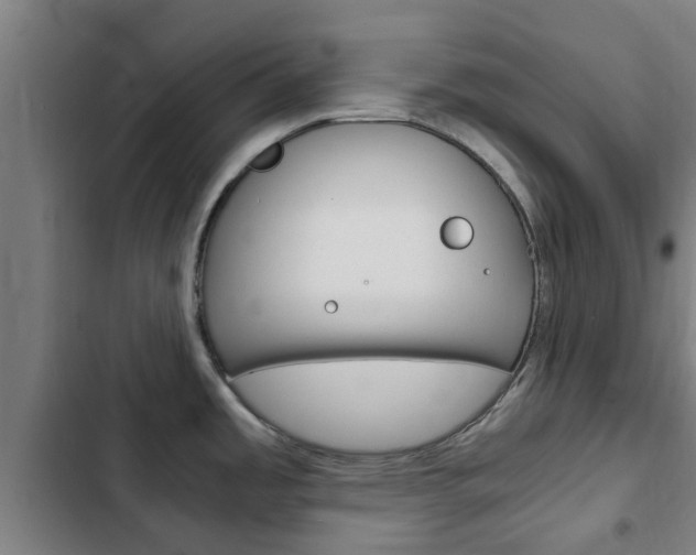 X0000103411485200809120936