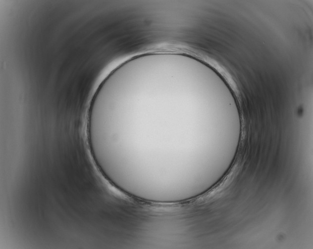 X0000103411486200809120936