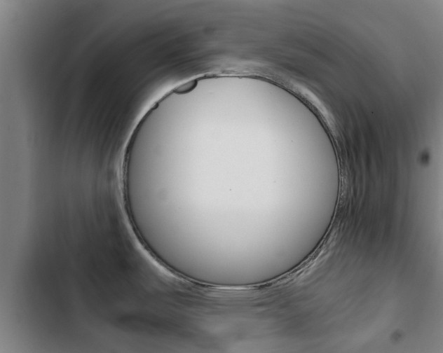 X0000103411487200809120936