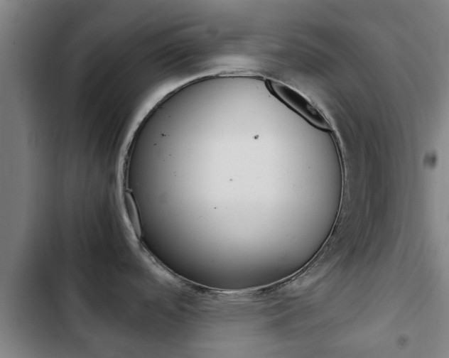 X0000103411488200809120936