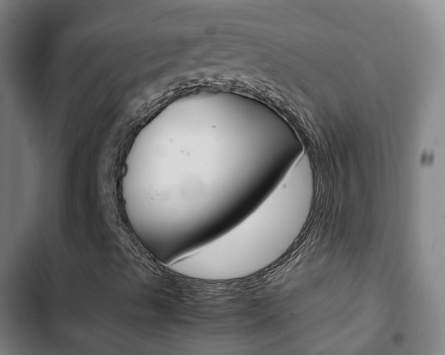X0000103411489200809120935