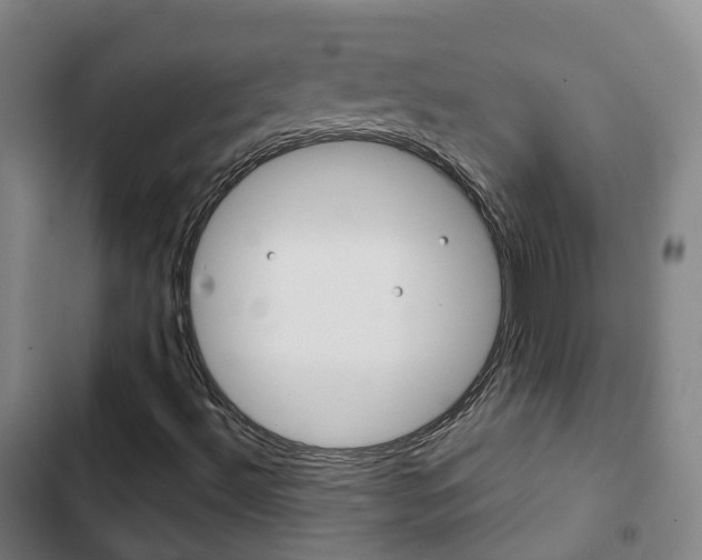 X0000103411492200809120935