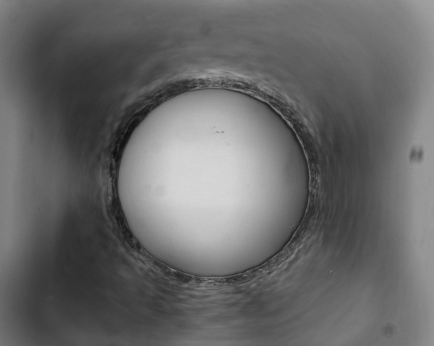 X0000103411493200809120935