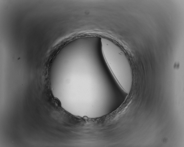 X0000103411494200809120935