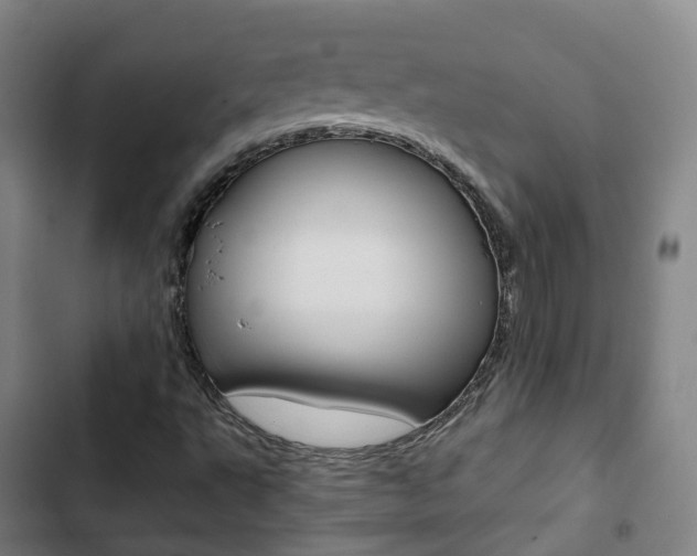 X0000103411495200809120935