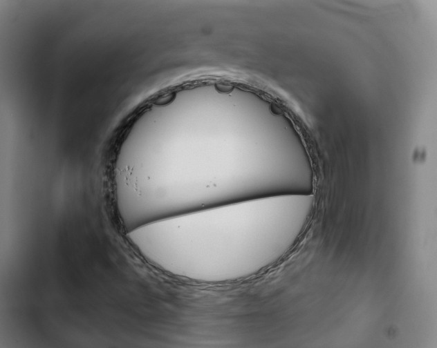 X0000103411496200809120935