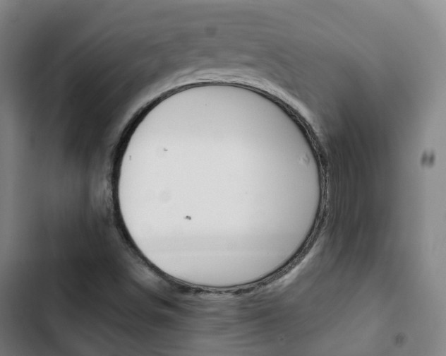 X0000103411498200809120935