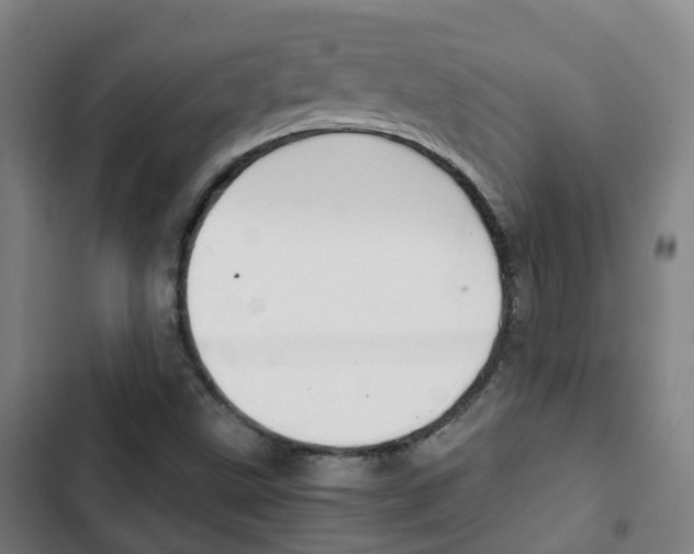 X0000103411499200809120935