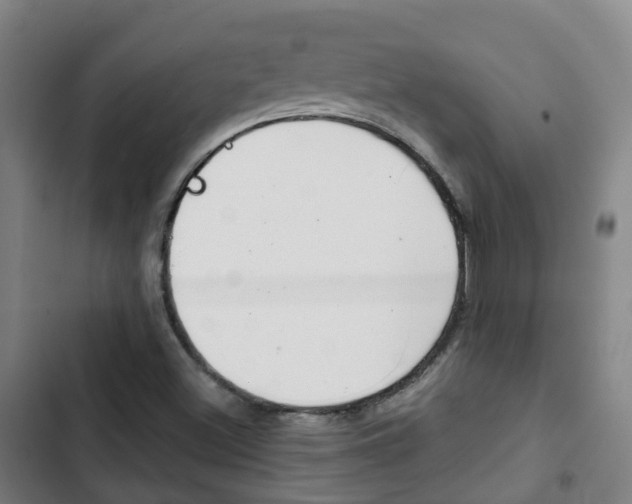 X0000103411500200809120935