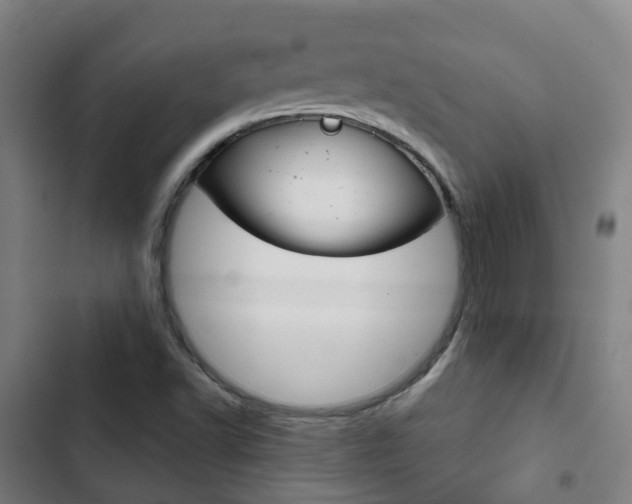 X0000103411502200809120935