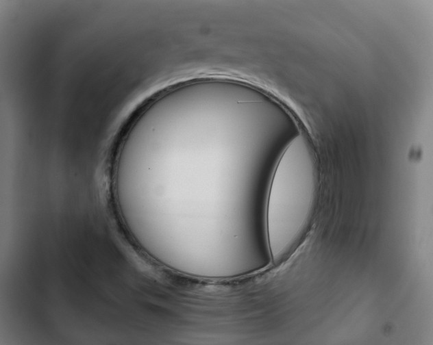 X0000103411503200809120935