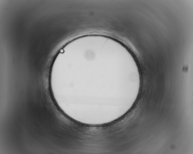 X0000103411504200809120935